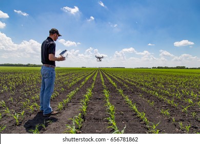 Agronomist Using Technology In Agricultural Corn Field