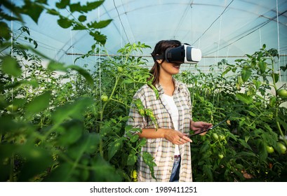 Agronomist using VR glasses in greenhouse - Powered by Shutterstock