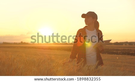 Agronomist woman farmer, business woman looks into a tablet in a wheat field. Modern technologists and gadgets in agriculture. Business woman working in the field. Farmer in wheat field at sunset.