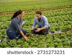 Agronomists using digital tablet for farm management