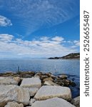 Agropoli sea brach landscape panorama