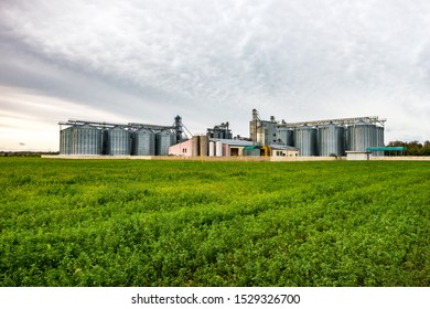 agro-processing and manufacturing plant for processing and silver silos for drying cleaning and storage of agricultural products, flour, cereals and grain. Granary elevator