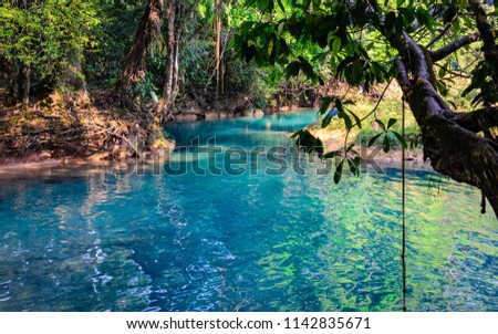 Similar – Pool with jungle