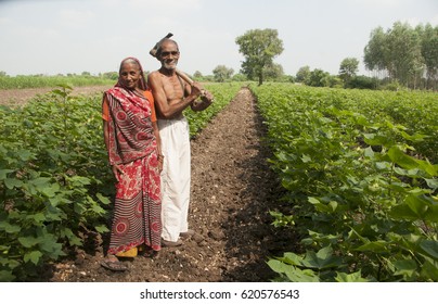 AHMEDABAD, GUJARAT, INDIA, 15 OCTOBER 2015 : Unidentified Farmer Working At Their Field, An Indian Farming Scene.