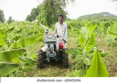 AHMEDABAD, GUJARAT, INDIA, 8 OCTOBER 2015 : Unidentified  Farmer Working In The Banana Plantation. An Indian Farming Scene.