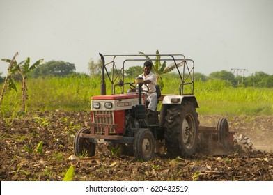 AHMEDABAD, GUJARAT, INDIA, 8 OCTOBER 2015 : Unidentified  Farmer Working In The Banana Plantation. An Indian Farming Scene.