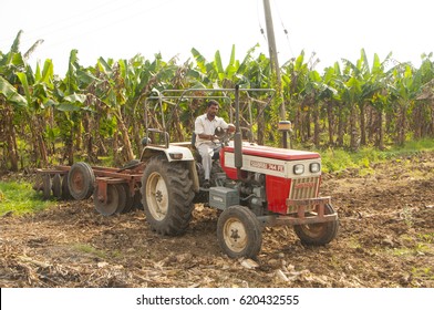 AHMEDABAD, GUJARAT, INDIA, 8 OCTOBER 2015 : Unidentified  Farmer Working In The Banana Plantation. An Indian Farming Scene.