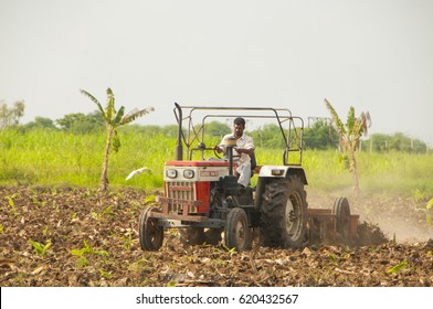 AHMEDABAD, GUJARAT, INDIA, 8 OCTOBER 2015 : Unidentified  Farmer Working In The Banana Plantation. An Indian Farming Scene.