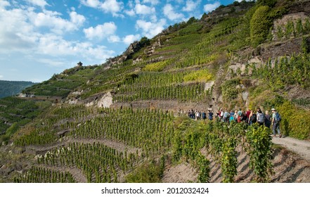 Ahr Valley, Rhineland-Palatinate, Germany - September 23, 2017: Hikers walk along steep vineyards on the 'Rotweinwanderweg', the Red Wine Hiking Trail in Germany's Ahr Valley