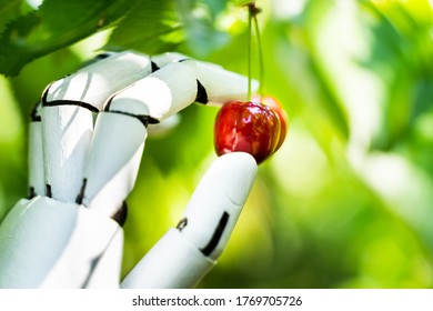 AI Farmer Assistant Picking Fresh Fruit At Plant