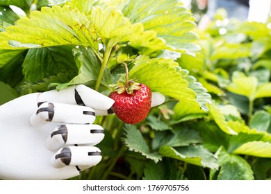 AI Farmer Assistant Picking Fresh Fruit At Plant