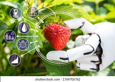 AI Farmer Assistant Picking Fresh Fruit At Plant