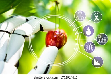 AI Farmer Assistant Picking Fresh Fruit At Plant