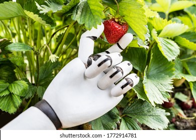 AI Farmer Assistant Picking Fresh Fruit At Plant