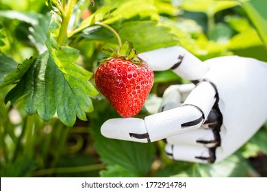 AI Farmer Assistant Picking Fresh Fruit At Plant