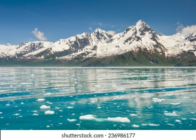 Aialik Bay, Kenai Fjords National Park, (Alaska)