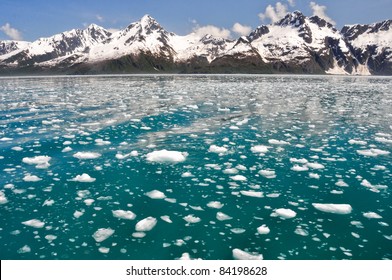 Aialik Bay, Kenai Fjords NP, Alaska