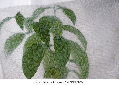 Air Bubble Wrapped Flowerpot. Copy Space.