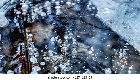 Air Bubbles Trapped Under Ice