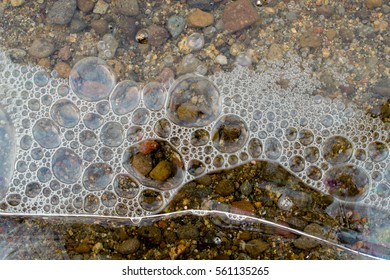 Air bubbles underneath frozen layer of water at the margin of a lake, in the winter- abstract background or texture - Powered by Shutterstock