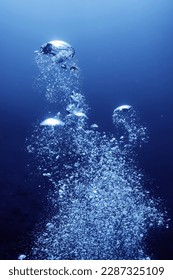 air bubbles underwater background diving in the sea