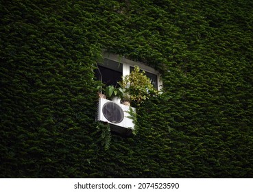 Air Conditioning Condenser Unit Outside A Building On Wall Is Ivy Covered