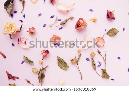 Air dried petals, flowers and leaves on pink background photographed in natural lighting. Can be used as is or for blogs, pinterest, social media, as a digital wallpaper, label background...