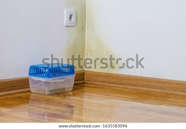 Air Filter Water Infiltration Moist Damp Stock Photo Edit Now 1635583096