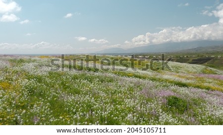 Air flight at high speed over a field with green grass and colorful flowers: white, yellow, lilac red. Beautiful summer landscape with rays of sunlight with blue sky and clouds Dream drone flight.