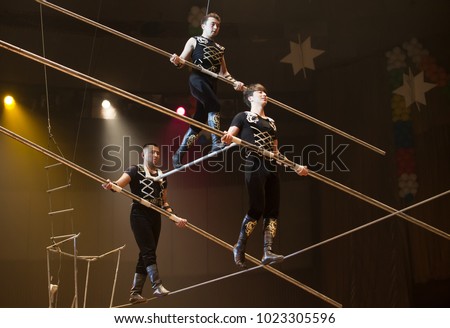 air gymnasts in the circus