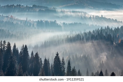 The air. Light and shadows in mist. First rays of sun through fog and trees on slopes. Morning autumn Carpathian Mountains landscape (Ivano-Frankivsk oblast, Ukraine). - Powered by Shutterstock