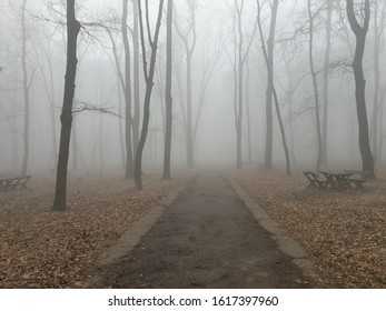 Air Pollution In Belgrade  Wood Zvezdara