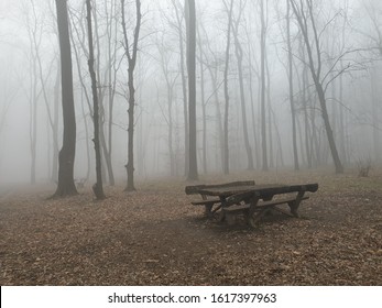 Air Pollution In Belgrade  Wood Zvezdara