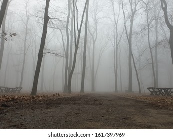 Air Pollution In Belgrade  Wood Zvezdara