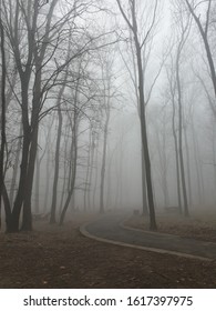 Air Pollution In Belgrade  Wood Zvezdara