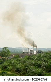 Air Pollution Produced By The Palm Oil Mill