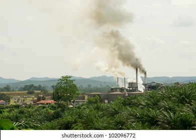 Air Pollution Produced By The Palm Oil Factory