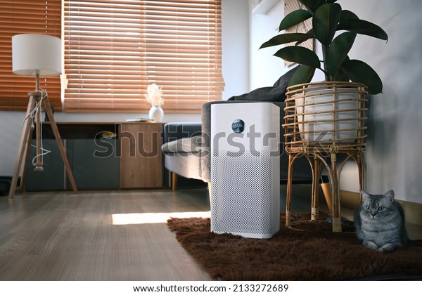 Air purifier with lovely cat\
and houseplant on wooden floor in living room. Air Pollution\
Concept.
