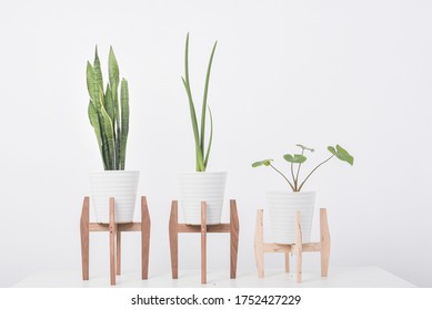 Featured image of post White Plant Pot With Stand : Whether you&#039;re housing real or faux botanicals, what&#039;s on the outside counts, too.