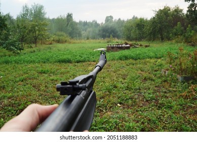 Air Rifle Shooting In The Garden       