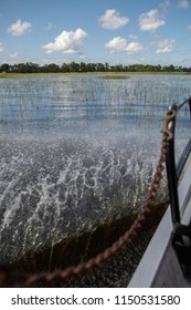 Airboat Ride In Lake Tohopekaliga