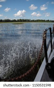 Airboat Ride In Lake Tohopekaliga