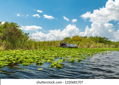 Airboat Tour In Eveglades National Park, Florida, USA