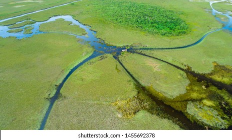 Airboat Tour In Everglades National Park. Miami. Florida. USA. 