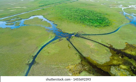 Airboat Tour In Everglades National Park. Miami. Florida. USA. 