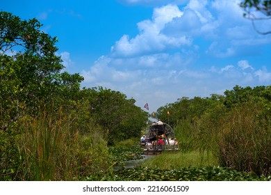 Airboat Tour In The Everglades National Park, Florida, United States