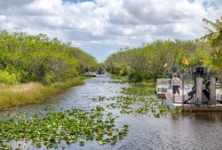 Tour In Airboat Nel Parco Nazionale Delle Everglades, Florida.