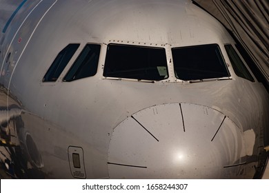 Aircraft UP Close High Detail Showing Signs Of Bird Strike 