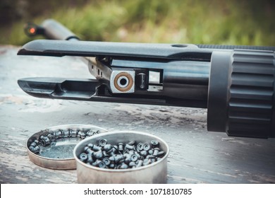 Airgun And Pellets