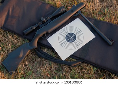 Airgun And Target